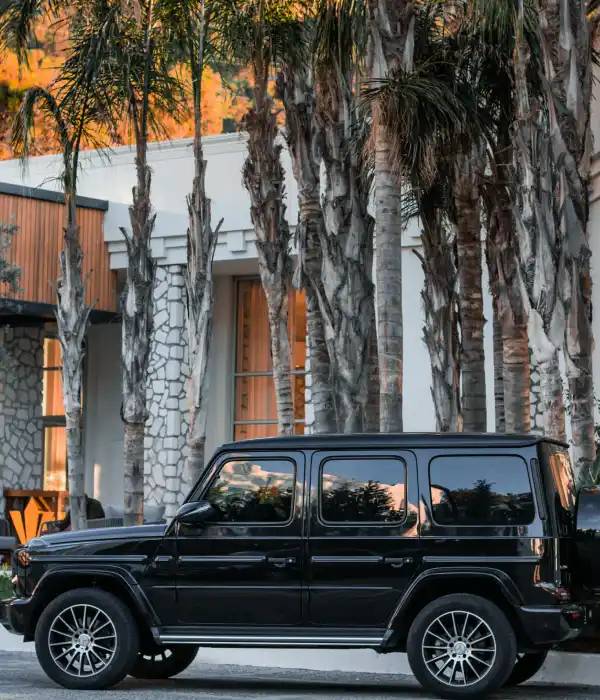 Black-SUV-Parked-Beside-the-Palm-Trees